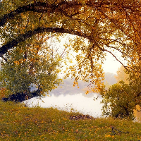 Dagfinn Bonde Aslaksrud