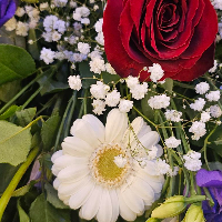 Martin Sunde Eliassen